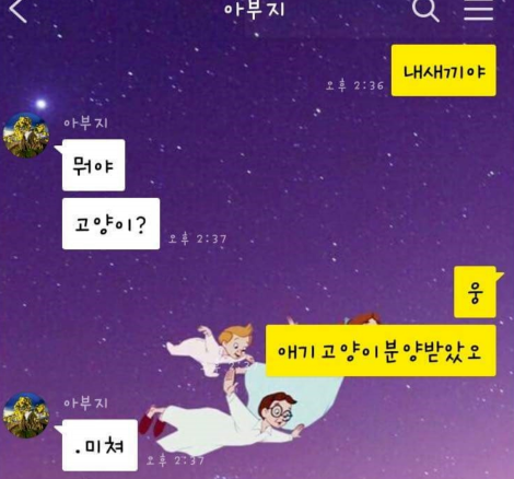  고양이 털이 싫다던 아부지