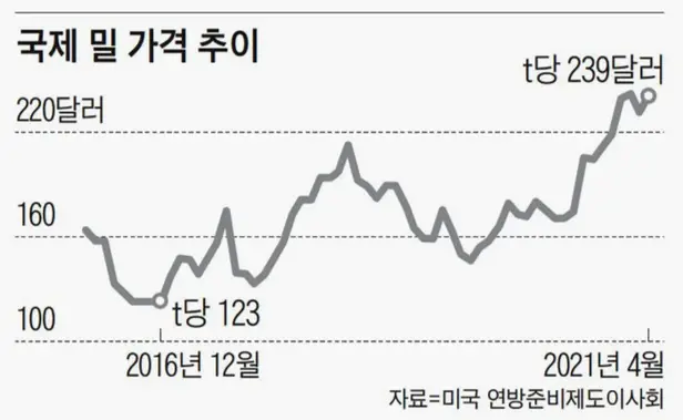  밀가루 관련주 대장주 6종목