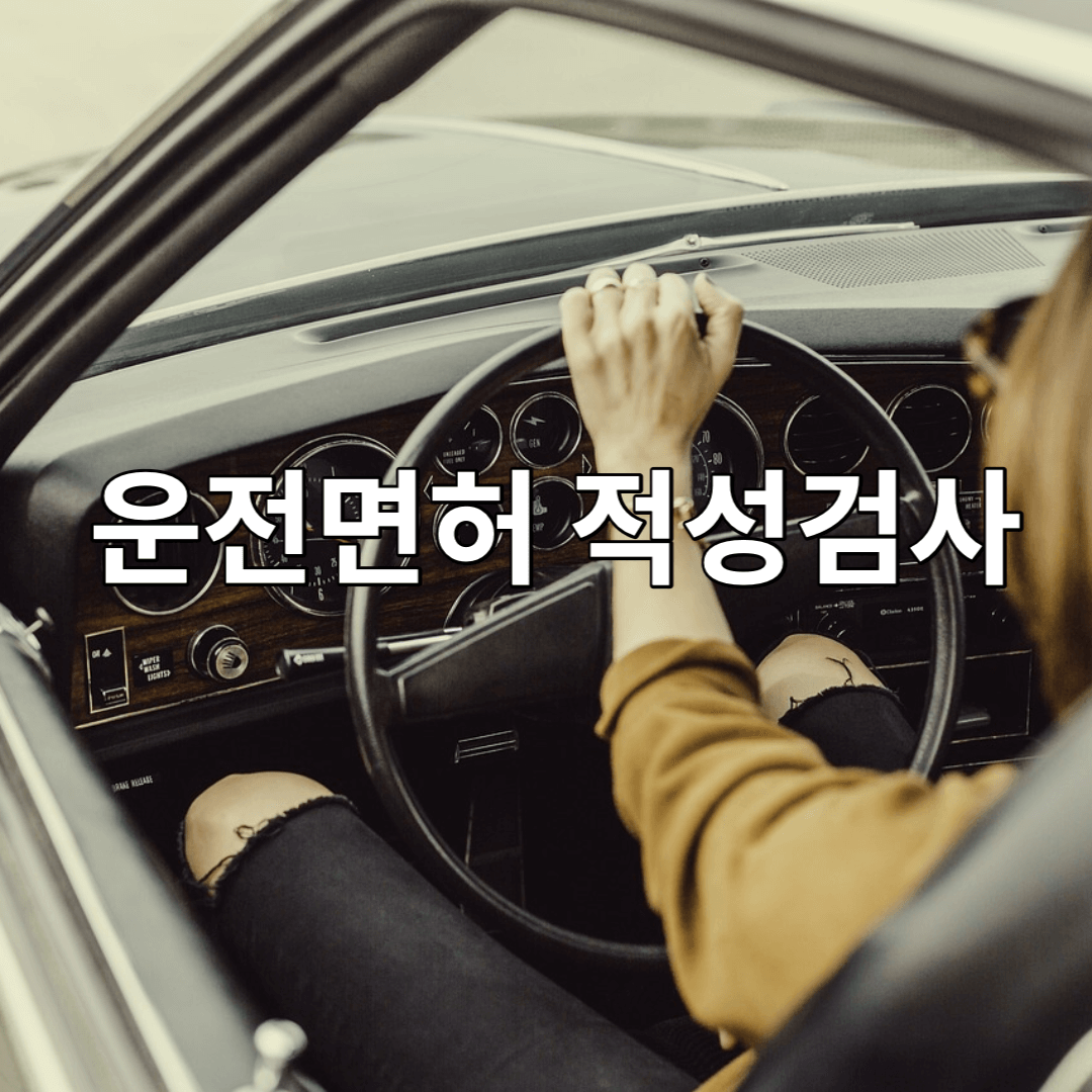 운전-면허-적성-여성-운전자