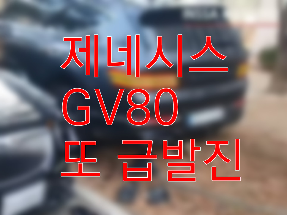  제네시스 GV80 급발진 또??  발동동  구르는 애기엄마