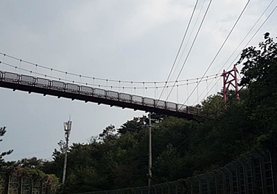 선물-옵션-자문형랩-주식형-펀드-위험성