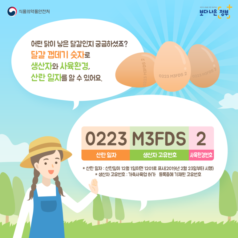 계란 삶는법 백종원 계란 삶는 시간 테스트 계란 삶는법 백종원 계란 삶는 시간 테스트