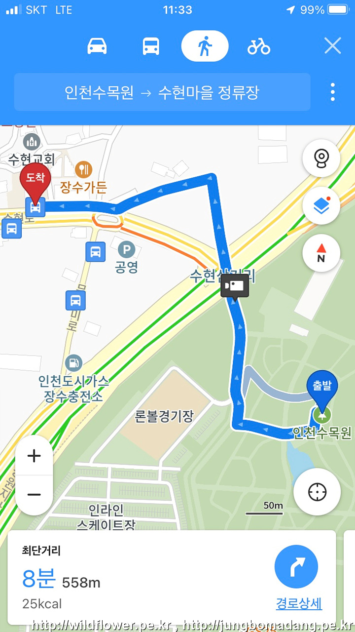 인천수목원 풍년화, 복수초 노루귀 1