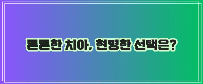 라이나생명 치아보험 필수 보장으로 구성하기