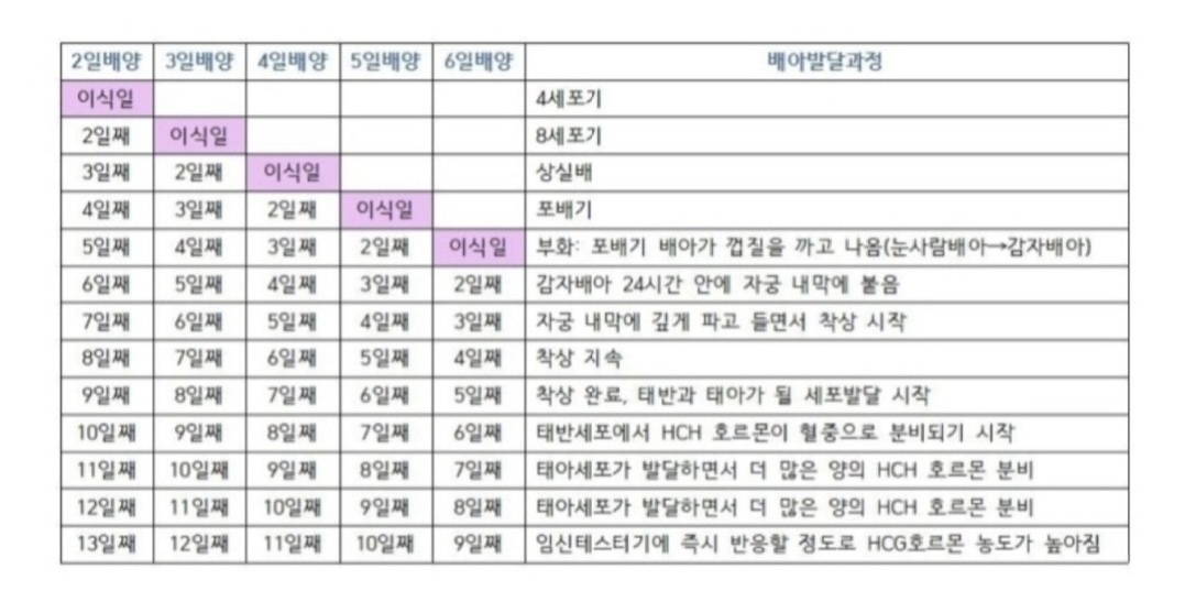 5일배양 착상시기