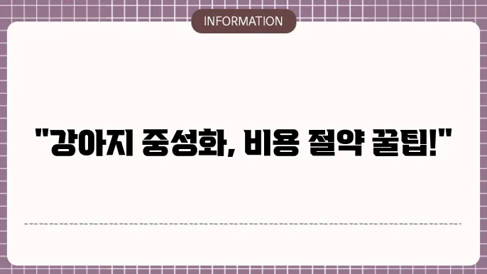 수컷 강아지 중성화 수술비용 - 효율적인 비용 가이드