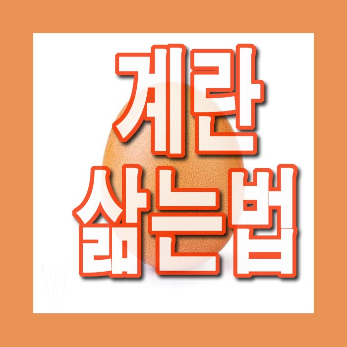  계란 삶는법 반숙 계란 삶는 시간