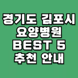 경기도-김포시-요양병원