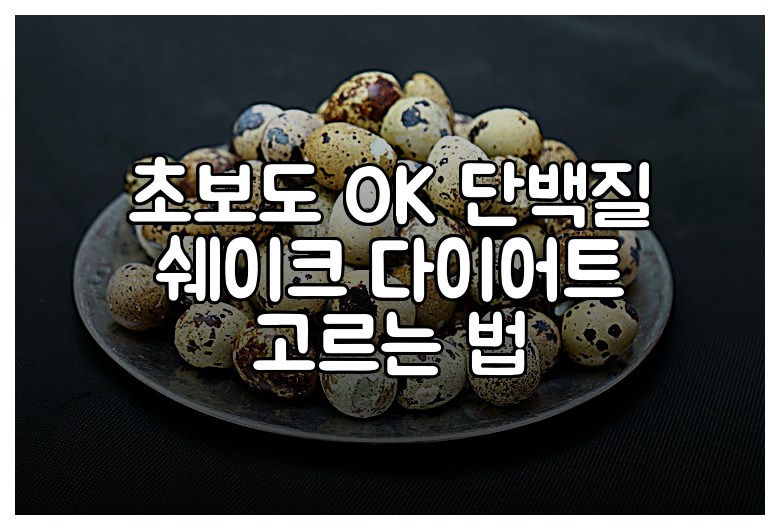 초보도 OK 단백질 쉐이크 다이어트 고르는 법