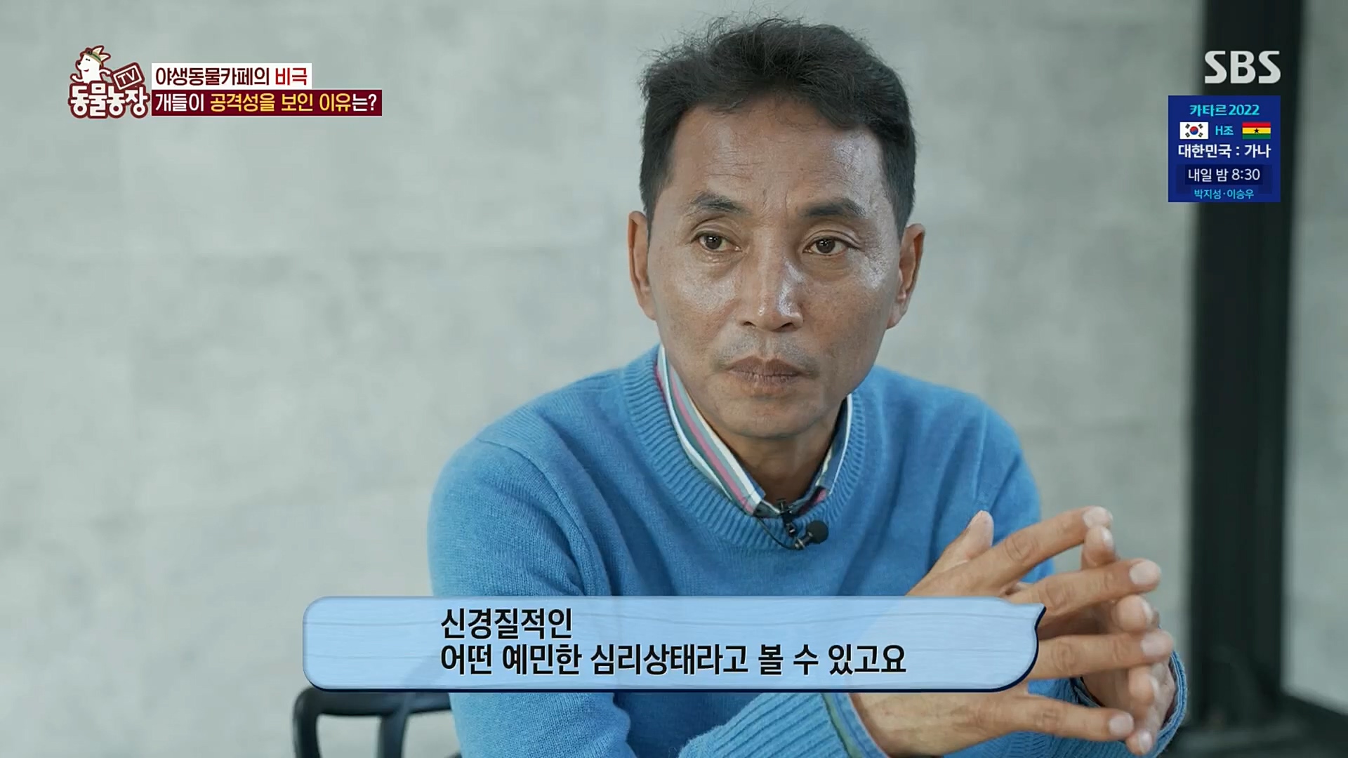 TV 동물농장.E1097.221127p.H264-F1RST.mp4_20221127_181712.947.jpg