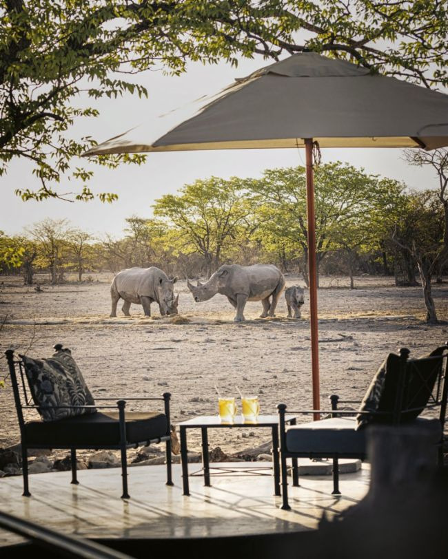 Welcome to the adventure: Camp Porsche 911 Namibia 32 img https://mobilityground.com/wp-content/uploads/2024/09/3-1-2.jpg