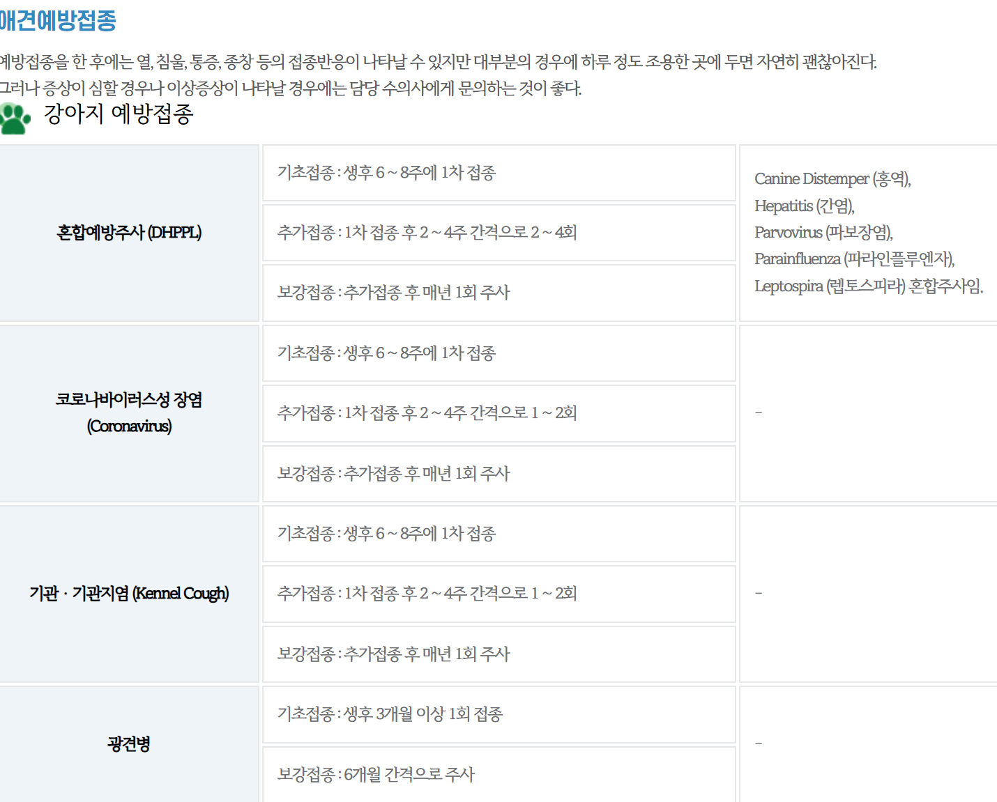 애견 예방접종 안내