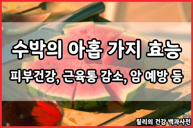  수박 : 수박의 아홉 가지 효능