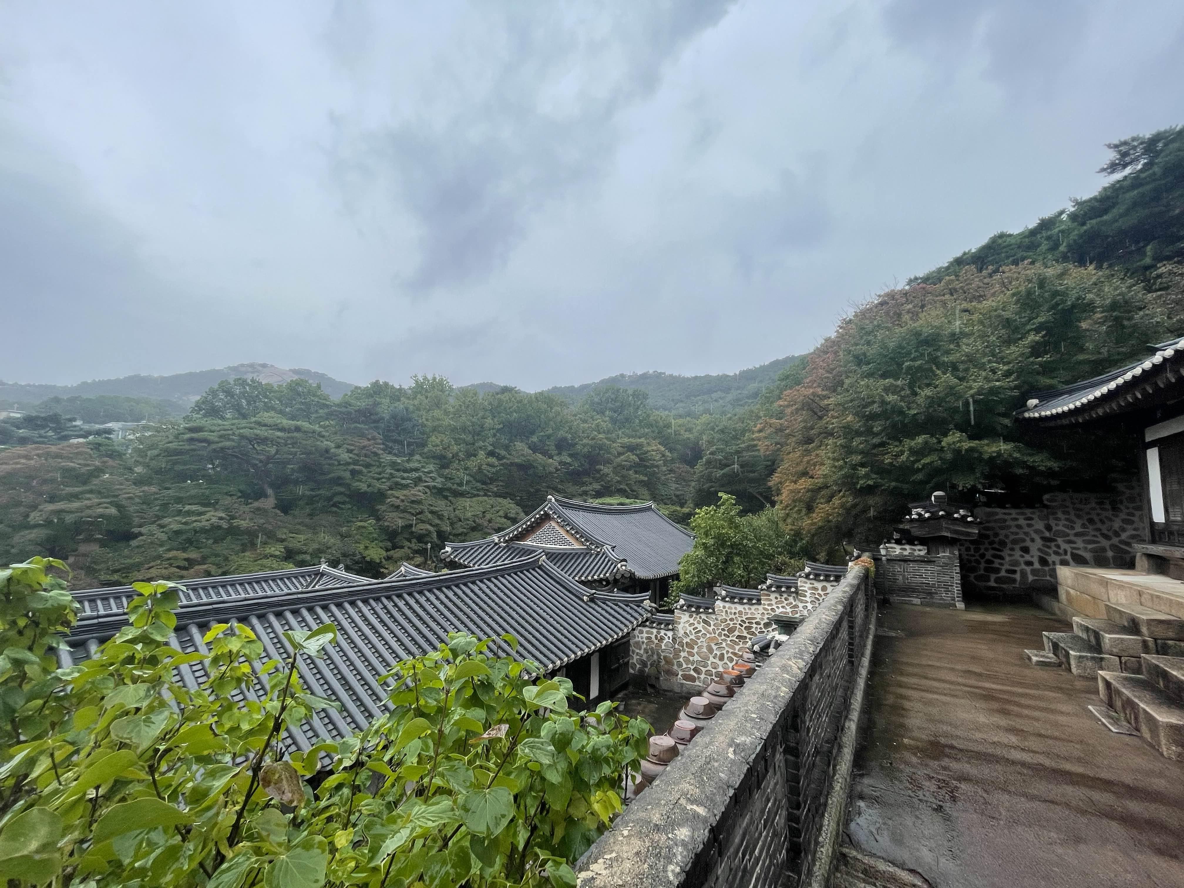 별채에서 바라다 본 뷰