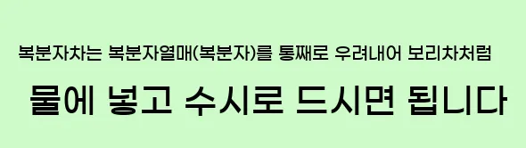  복분자차는 복분자열매(복분자)를 통째로 우려내어 보리차처럼 물에 넣고 수시로 드시면 됩니다