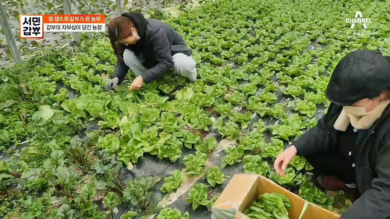 서민갑부.E415.221225p.H264-F1RST.mp4_20221226_195814.384.jpg