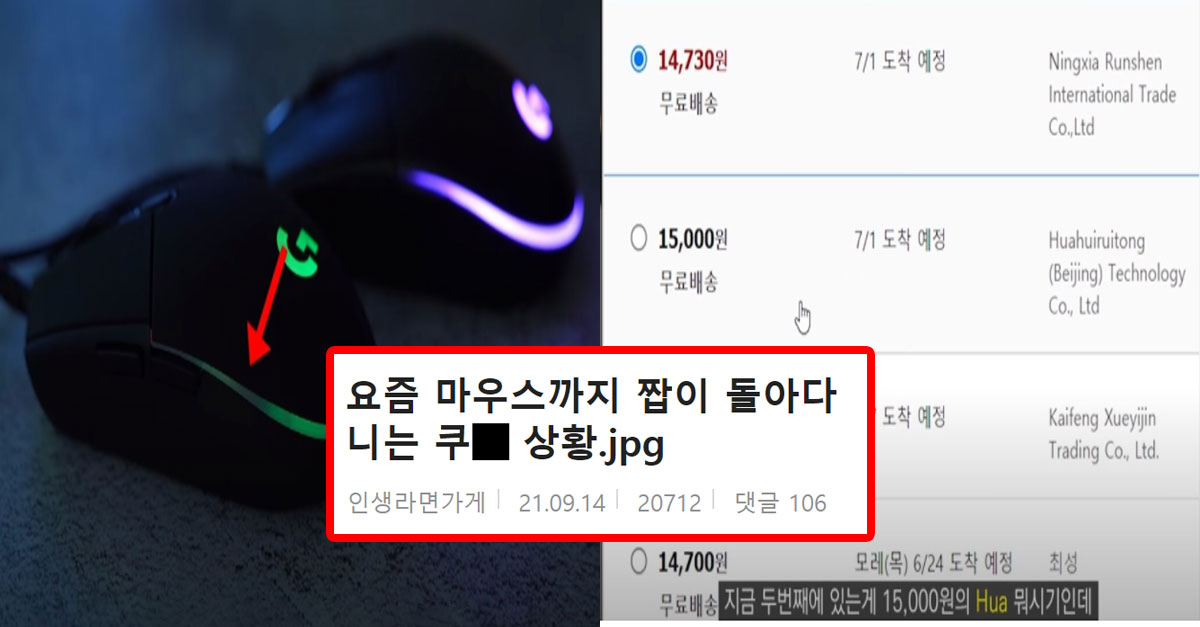  요즘 가성비 마우스 G102짭이 돌아다니는 쿠X상황 (정품 구분 방법)