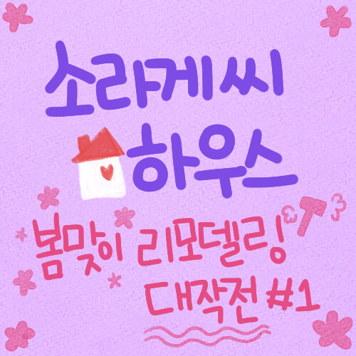  [소라게] 소라게씨 하우스, 봄맞이 리모델링 대작전 #1