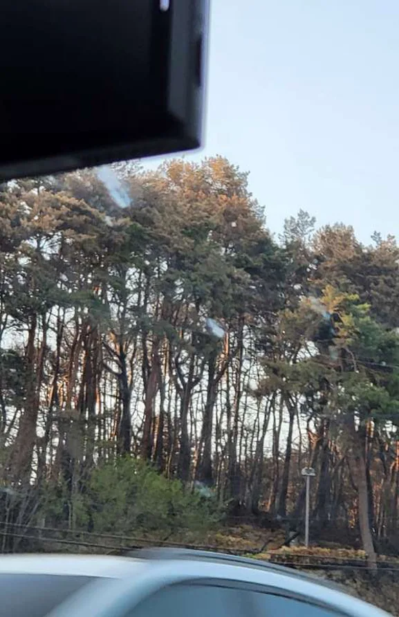 동해휴게소쉼터