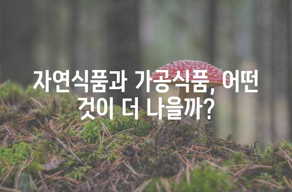 샘플 (42)