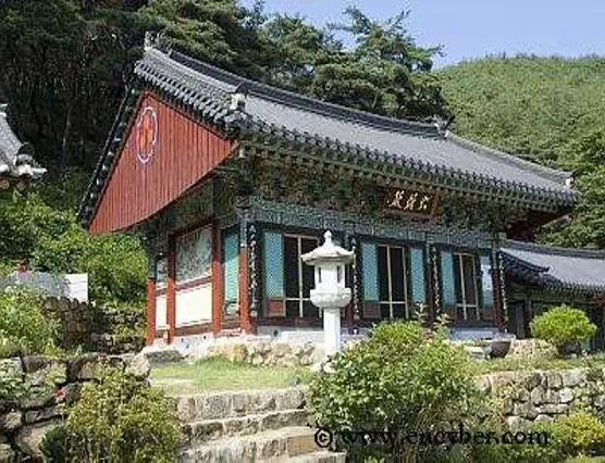 지보사