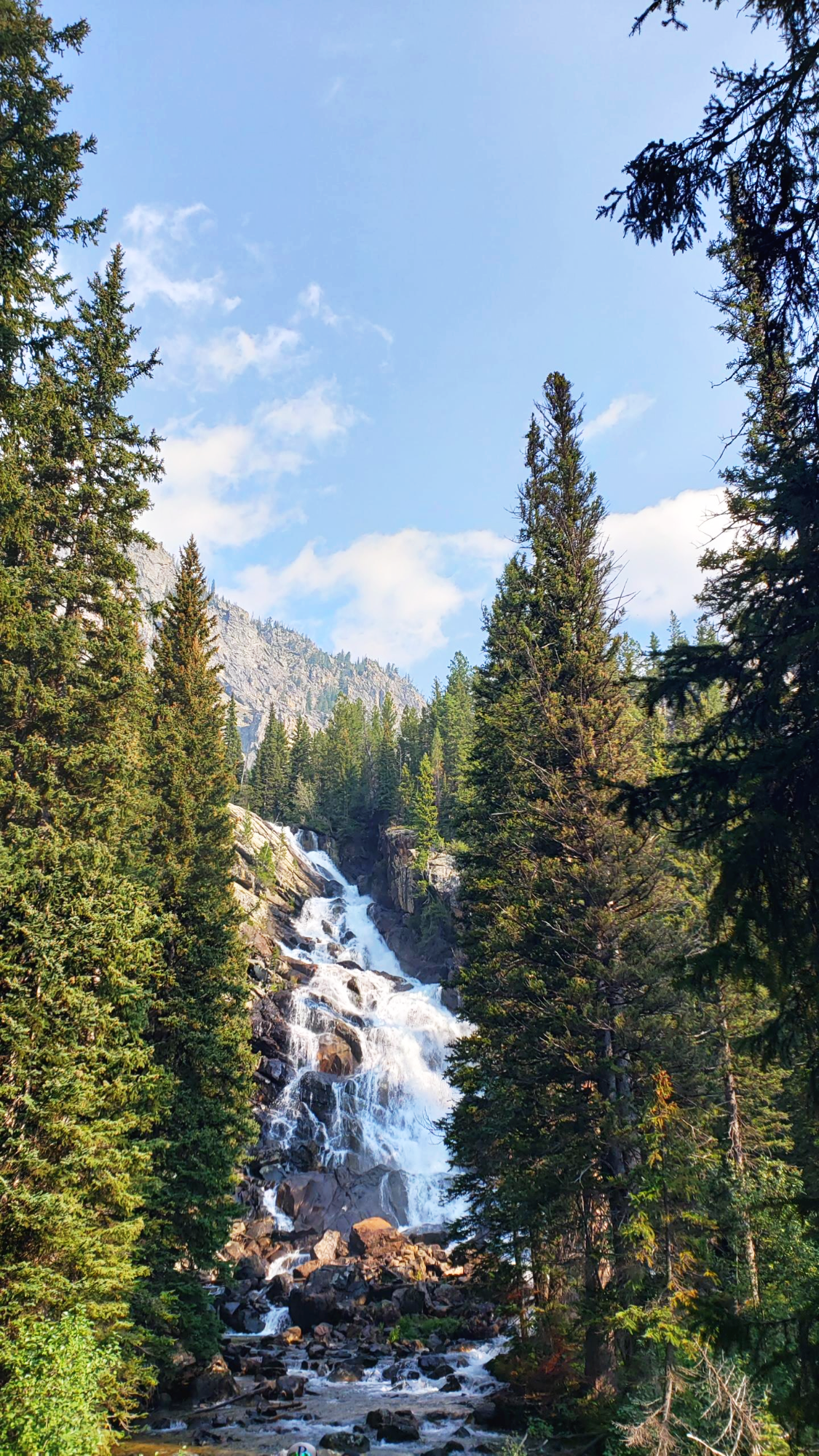 Jenny-Lake-Hidden-Falls