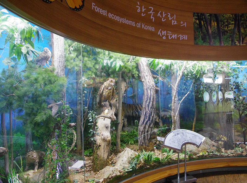 금강수목원 다육식물원