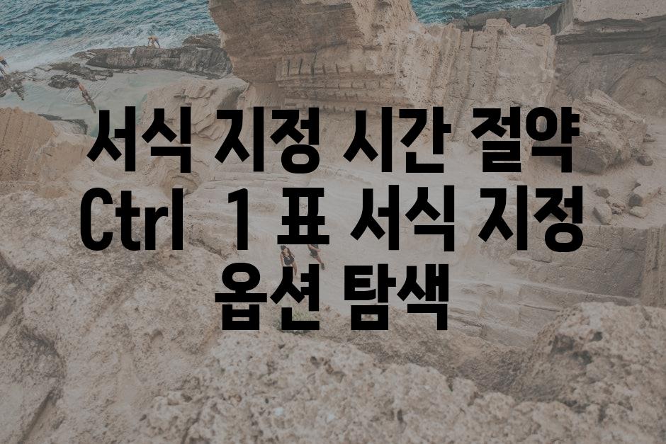 서식 지정 시간 절약 Ctrl  1 표 서식 지정 옵션 탐색