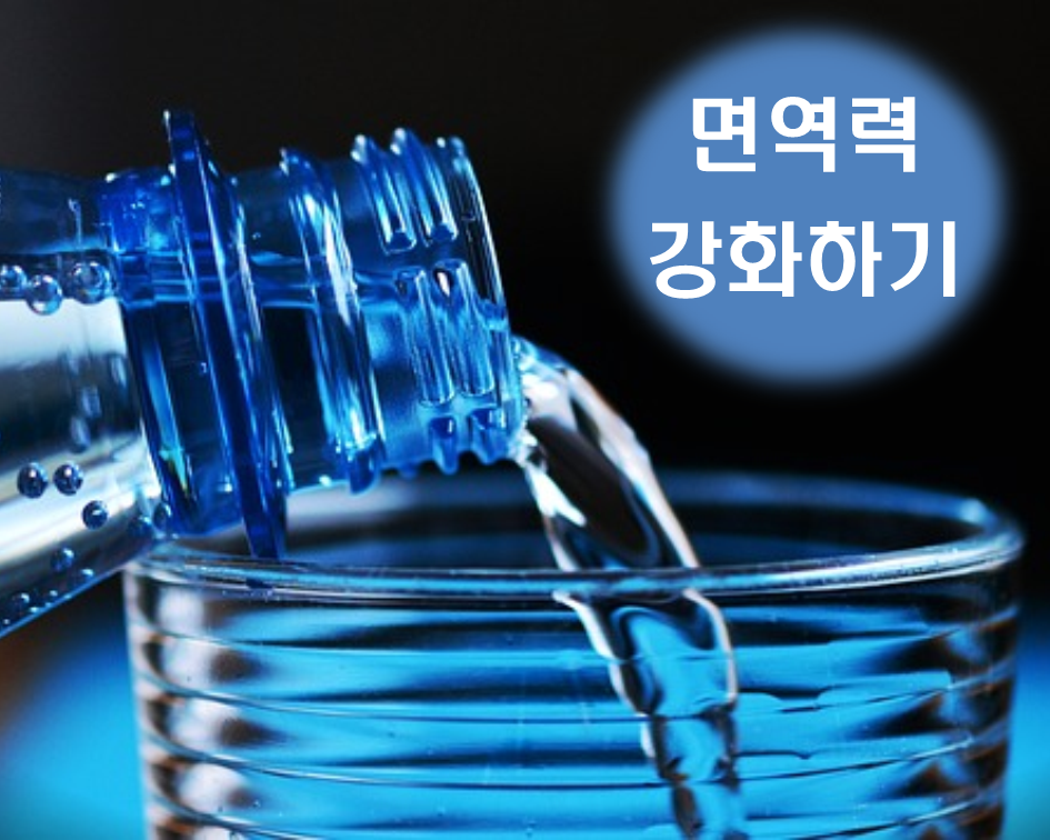  자연적으로 면역력 강화하기