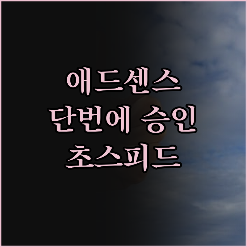 애드센스 승인, 이제 걱정 끝! 전문