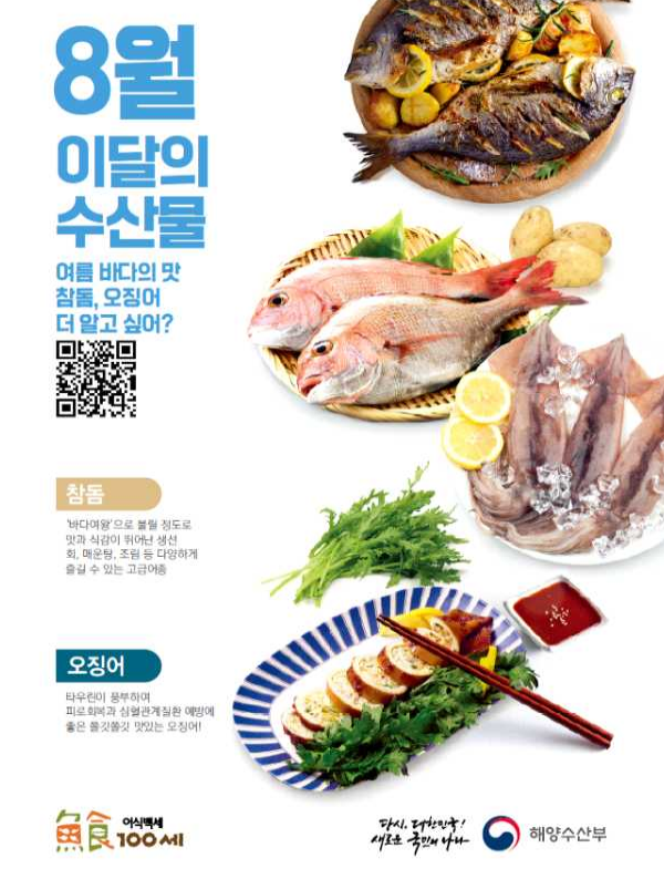  해수부, 8월의 수산물 ‘참돔, 오징어’ 선정