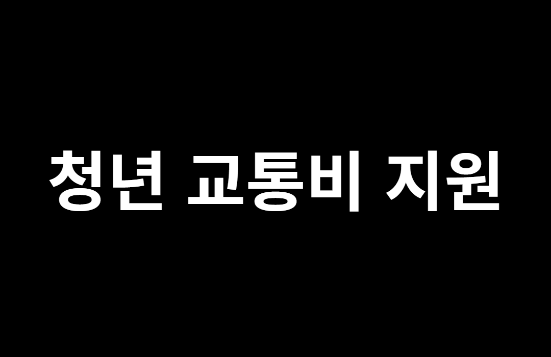  청년 교통비 지원
