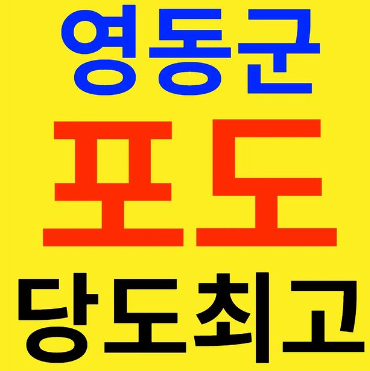 2023 영동포도축제 일정 초대가수 추풍령가요제