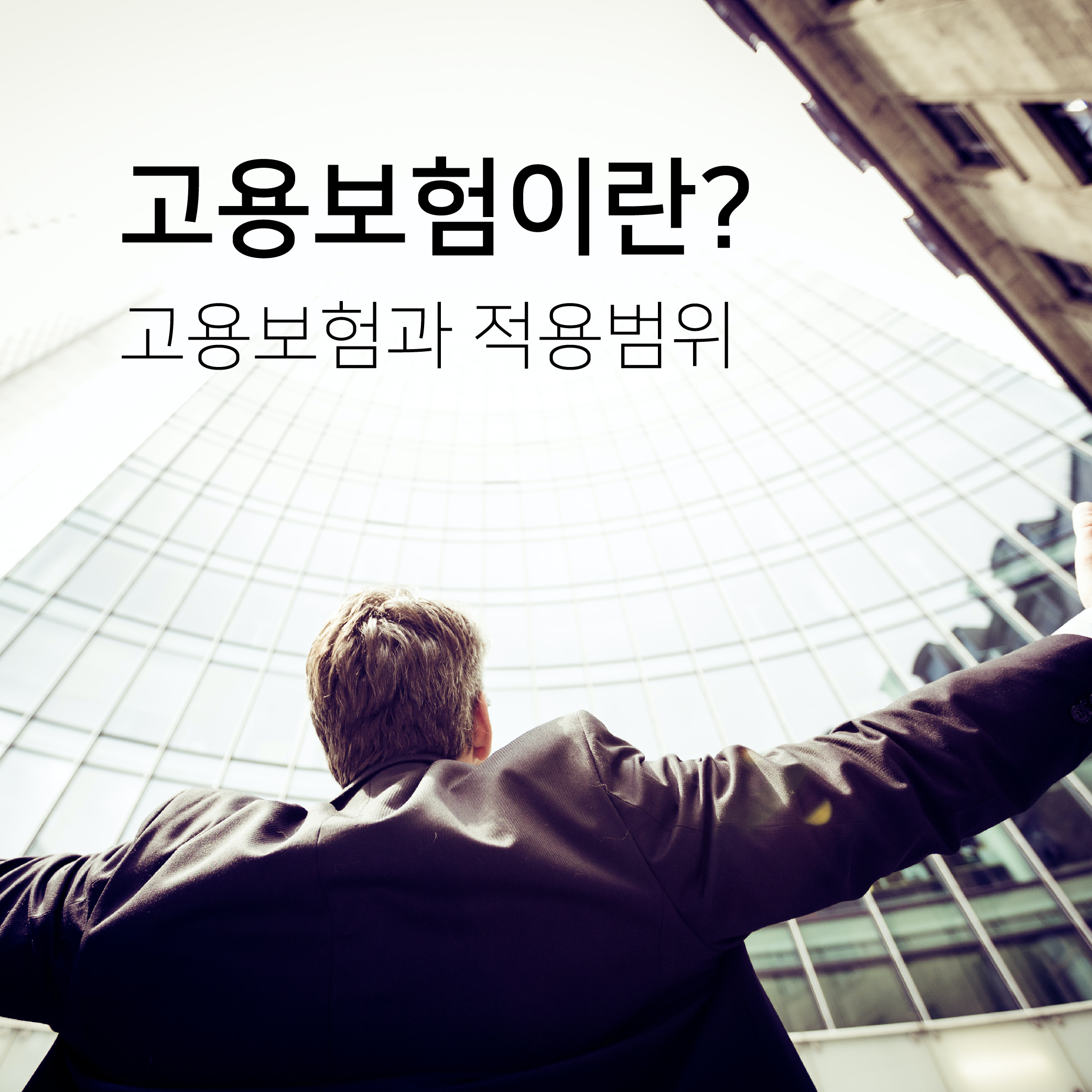  고용보험이란? 고용보험의 적용범위