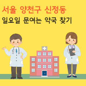 서울 양천구 신정동 일요일 문여는 약국