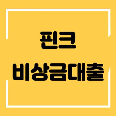 핀크 비상금대출 섬네일