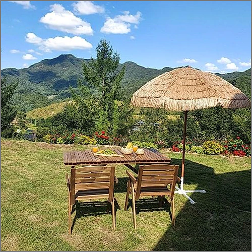 홍천 나무밭 (Hongcheon Tree Field)_5