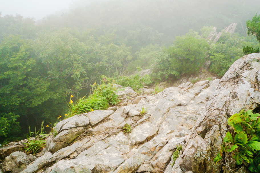 한국 명산 전북 정읍 내장산 신선봉 등산 mountain hiking