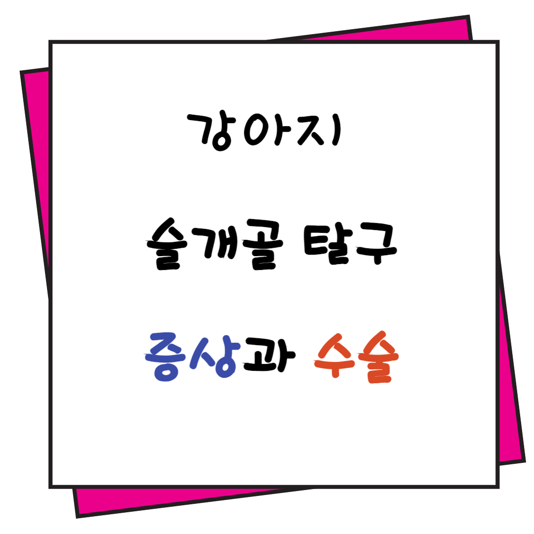 강아지 슬개골 탈구 증상과 수술