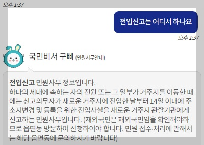 국민 비서 구삐에게 질문 내용