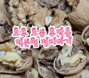 호두-효능-부작용-먹는법