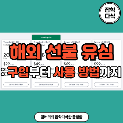 해외 선불 유심