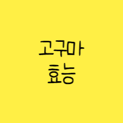  고구마 효능
