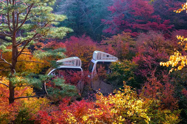 화담숲-모노레일