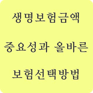 생명보험금액