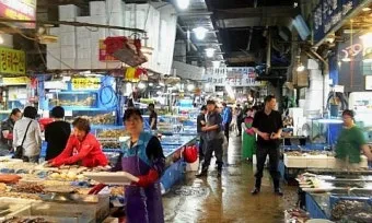 가락동 농수산물시장 홈페이지 바로가기 가락몰_24