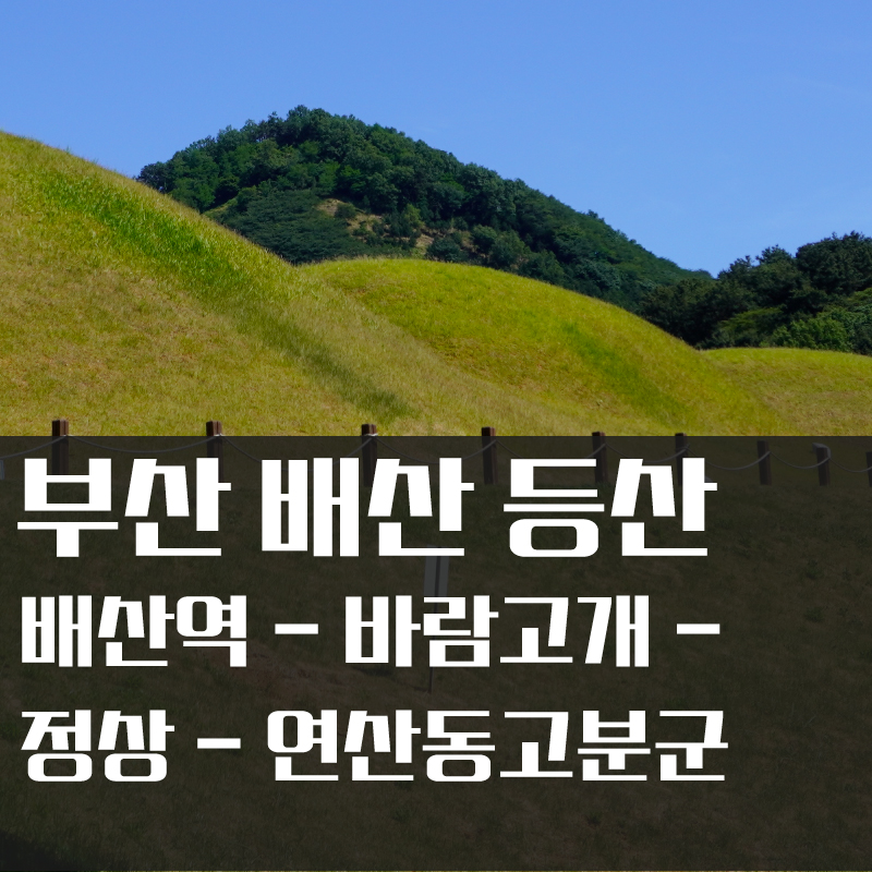  배산 등산 코스 추천(배산역 - 연산파크맨션 - 바람고개 - 배산 정상 - 멍에정 - 연산동고분군 - 연산 자이 - 배산)