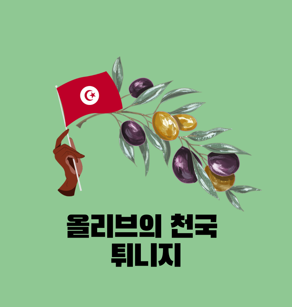 올리브의 천국 튀니지