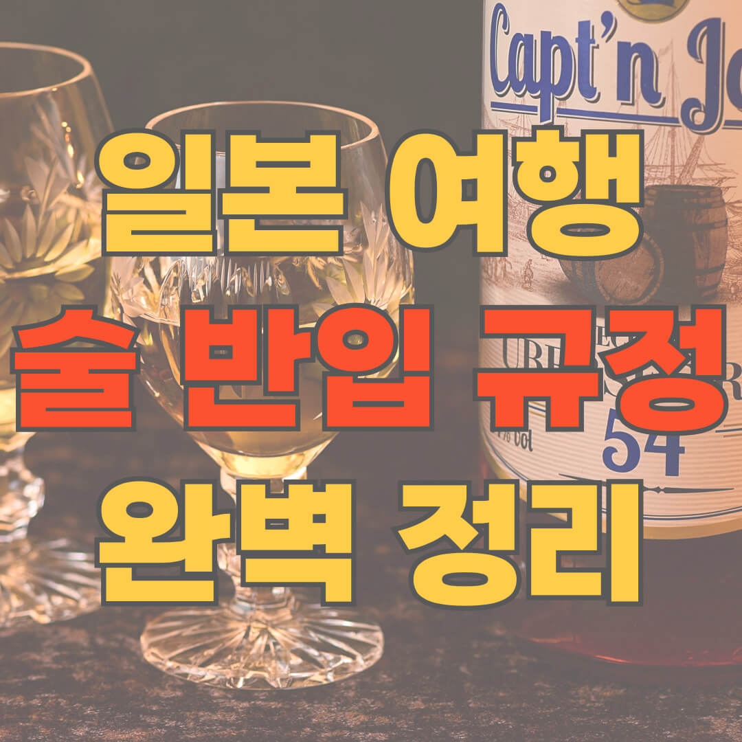 일본 술 반입 규정 한도