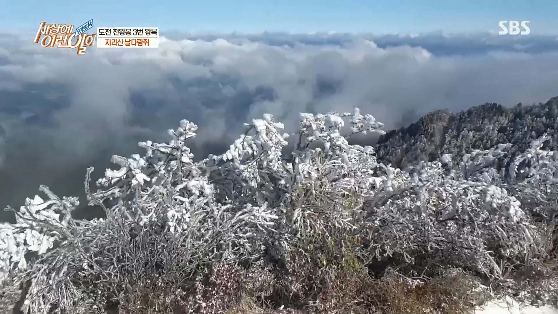 순간포착 세상에 이런일이.E1202.221018p.H264-F1RST.mp4_20221019_180827.350.jpg